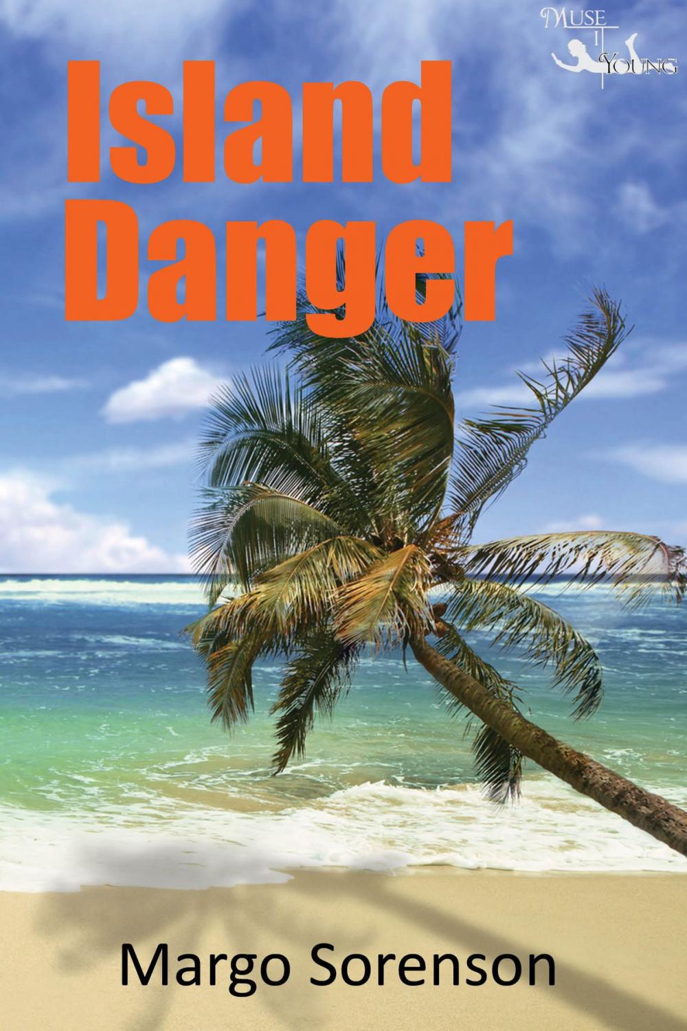 Big bigCover of Island Danger