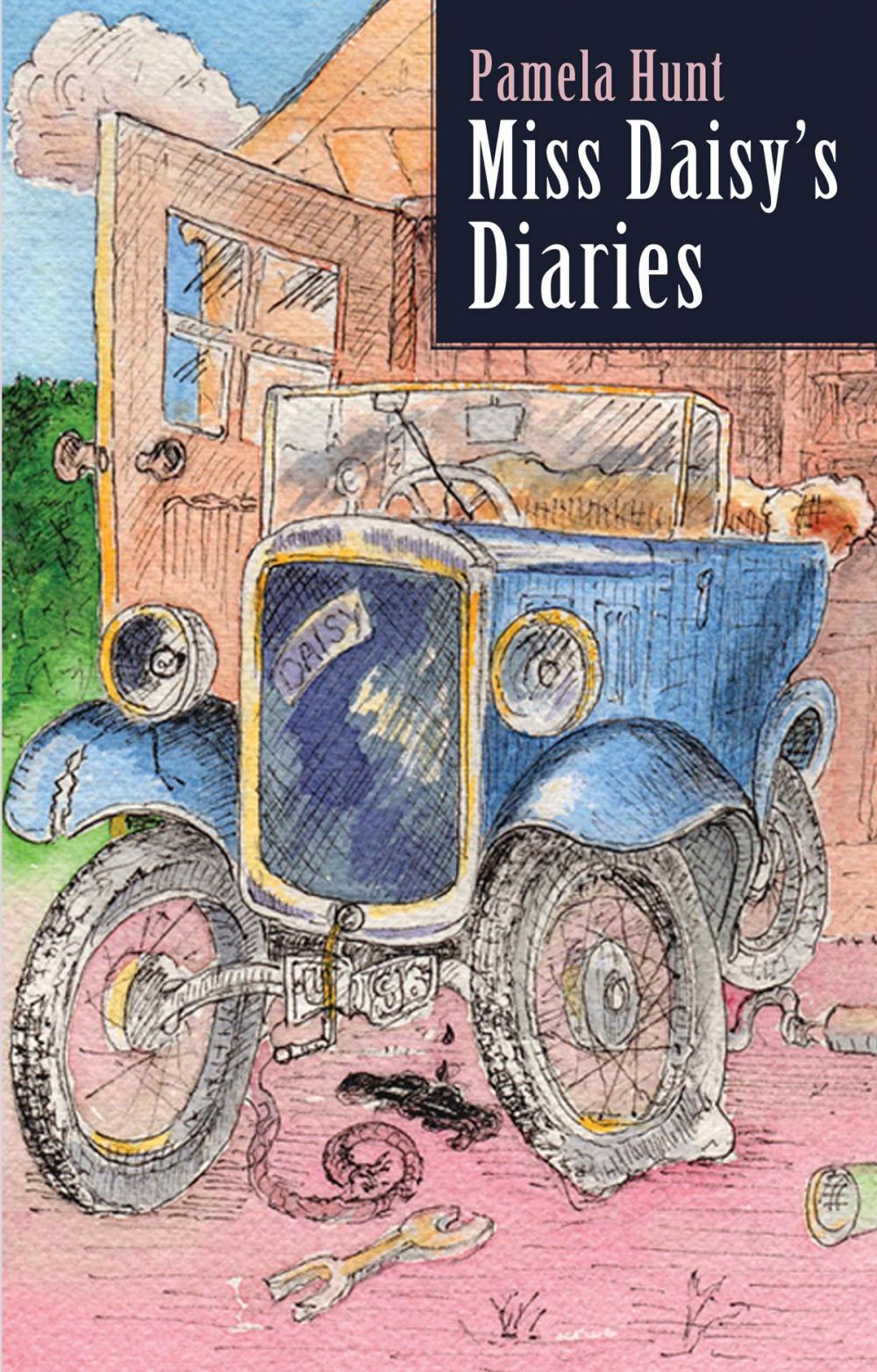 Big bigCover of Miss Daisy's Diaries