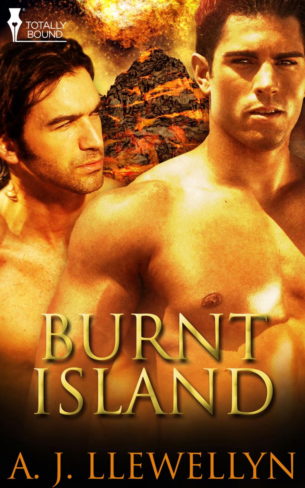 Big bigCover of Burnt Island