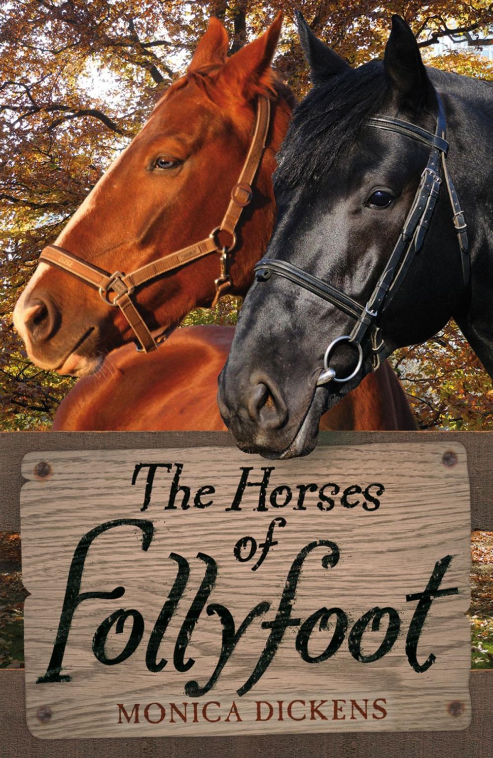 Big bigCover of The Horses of Follyfoot