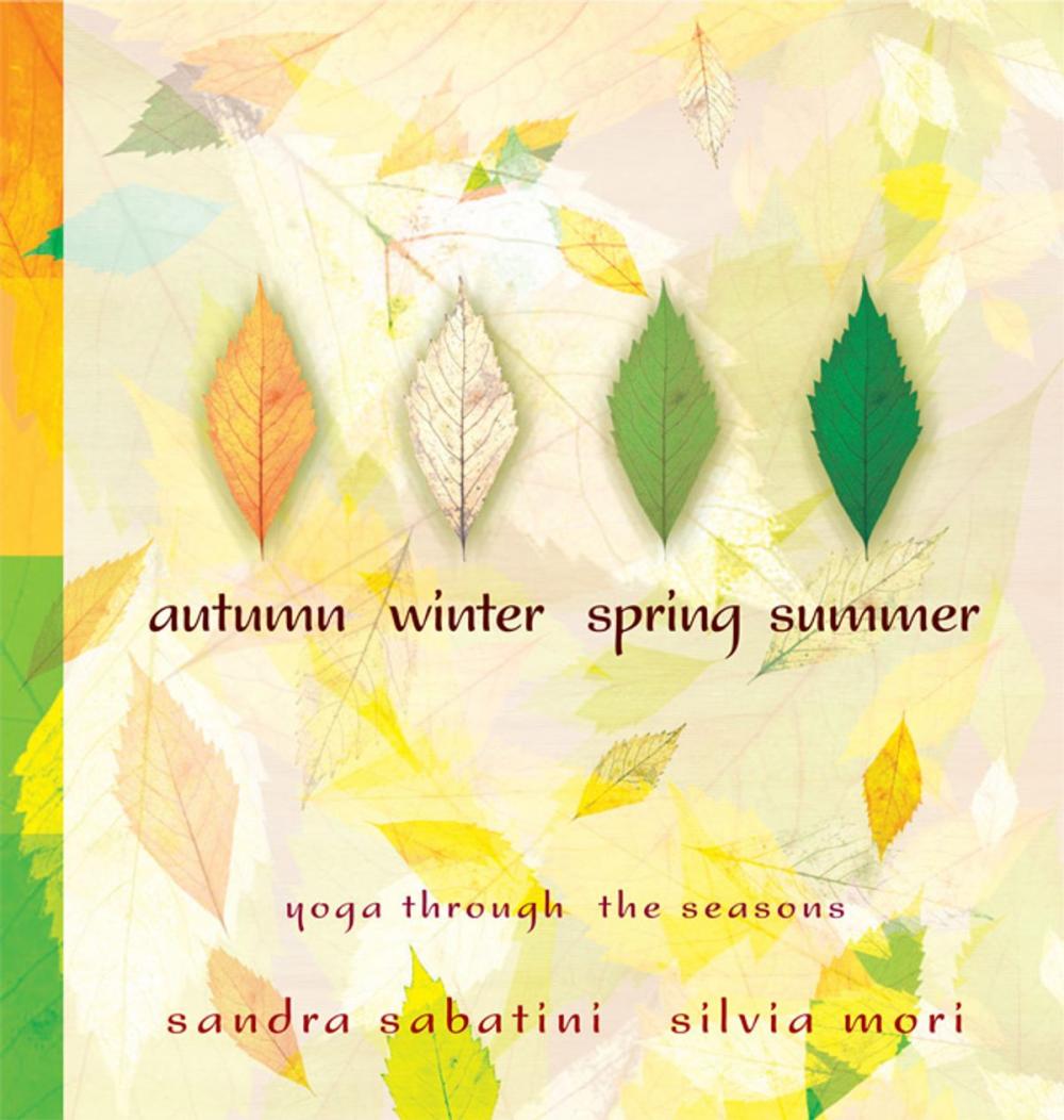 Big bigCover of Autumn, Winter, Spring, Summer: yoga through the seasons