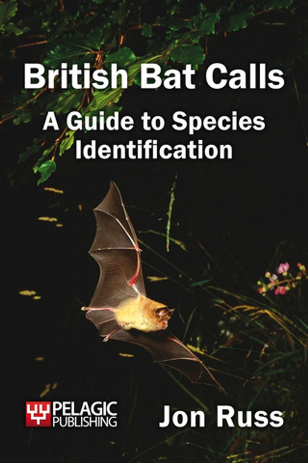 Big bigCover of British Bat Calls