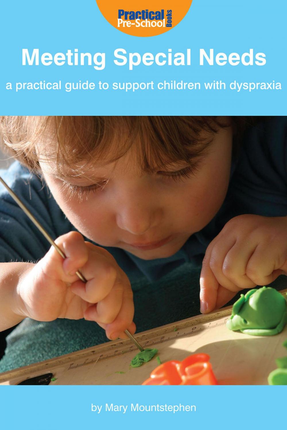 Big bigCover of Meeting Special Needs: A practical guide to support children with Dyspraxia