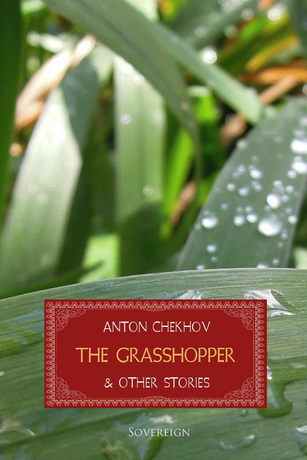 Big bigCover of The Grasshopper and Other Stories