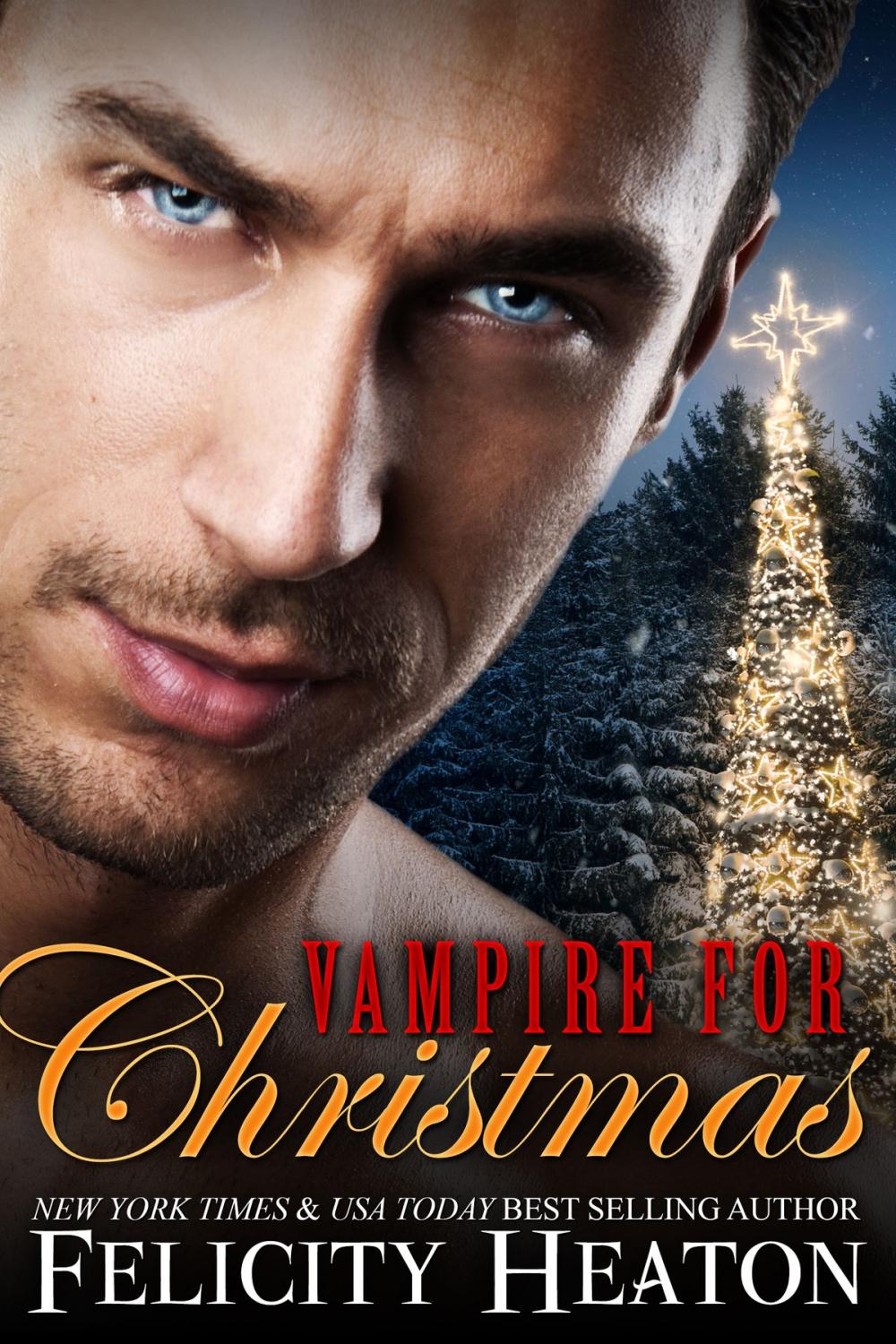 Big bigCover of Vampire for Christmas