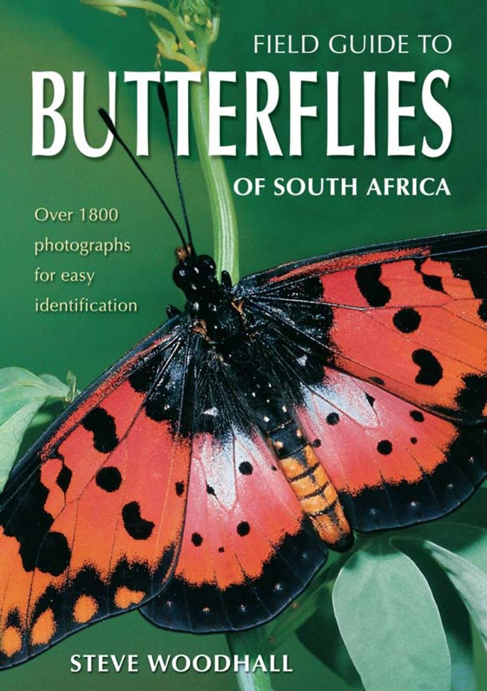 Big bigCover of Field Guide to Butterflies of South Africa