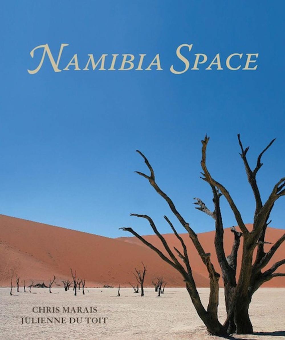 Big bigCover of Namibia Space