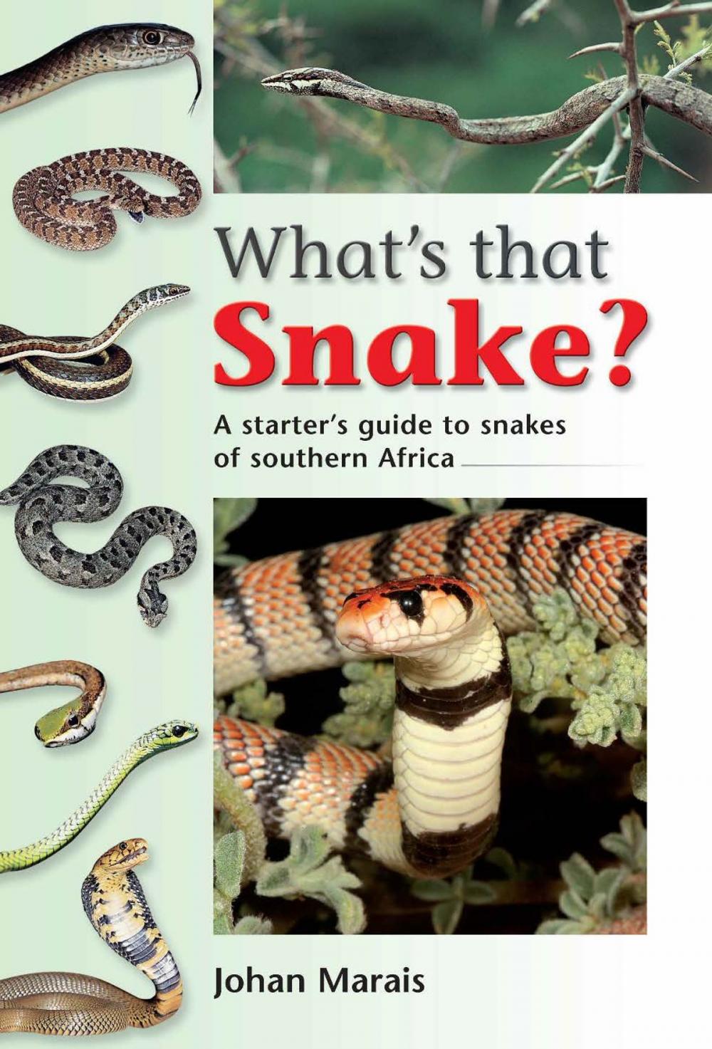 Big bigCover of What's that Snake?