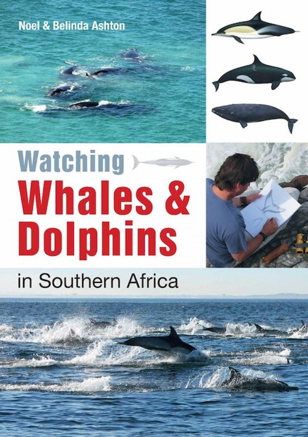 Big bigCover of Watching Whales & Dolphins in Southern Africa