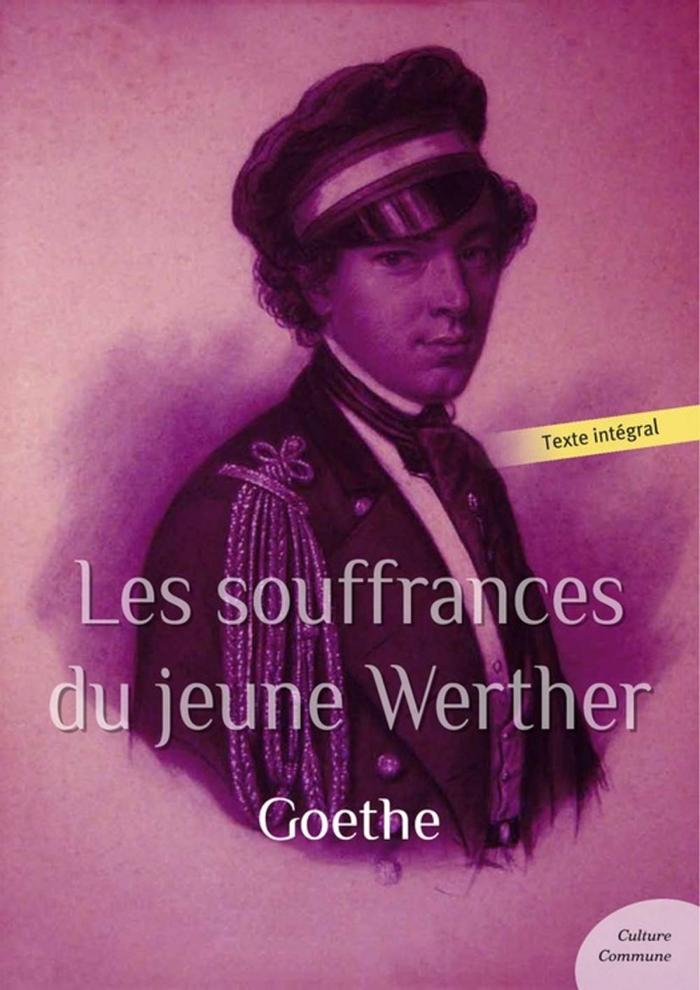 Big bigCover of Les souffrances du jeune Werther