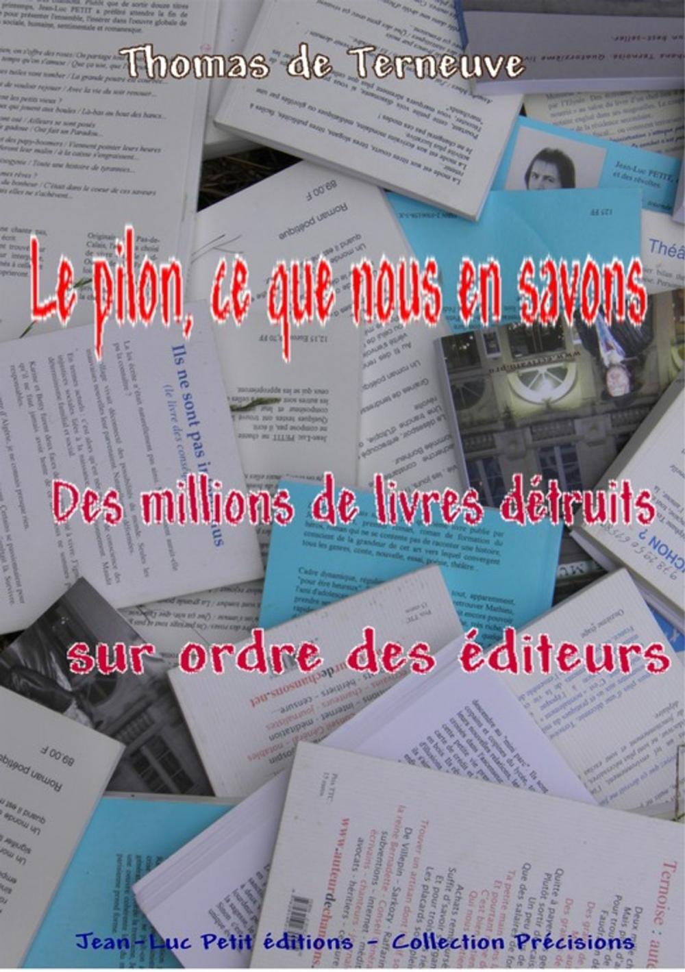 Big bigCover of Le pilon, ce que nous en savons