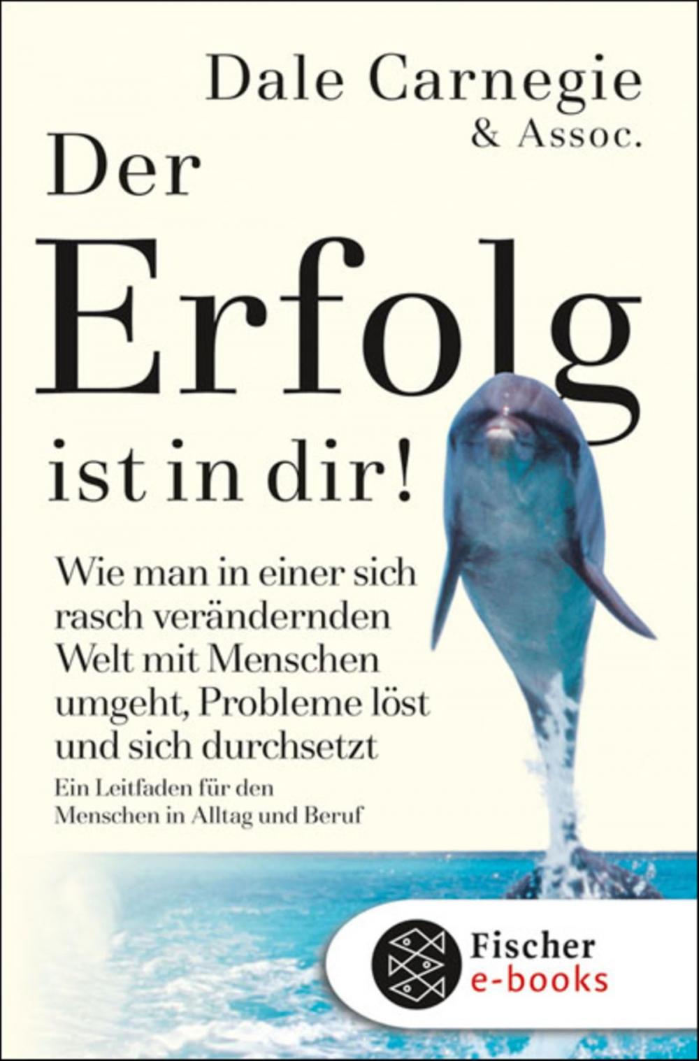 Big bigCover of Der Erfolg ist in dir!