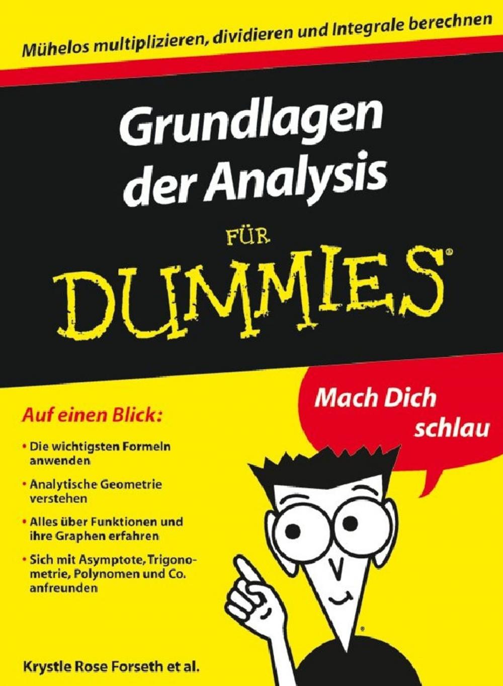 Big bigCover of Grundlagen der Analysis für Dummies