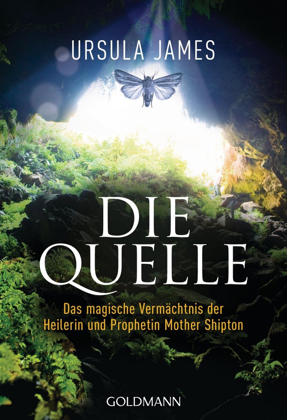 Big bigCover of Die Quelle