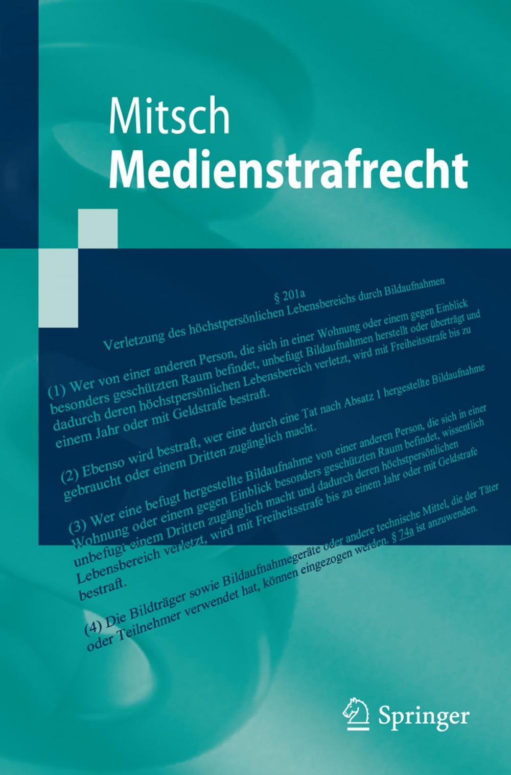 Big bigCover of Medienstrafrecht