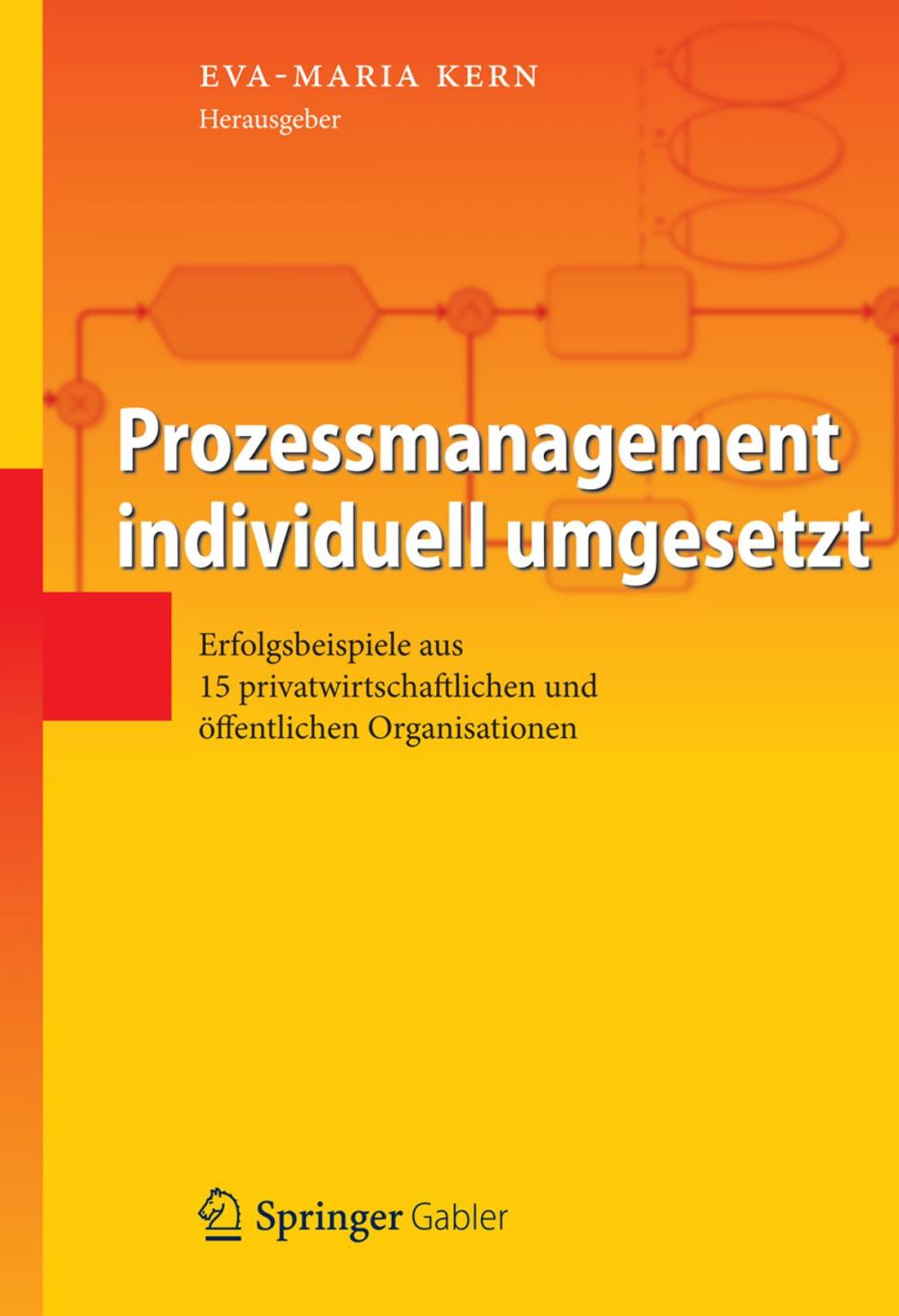 Big bigCover of Prozessmanagement individuell umgesetzt