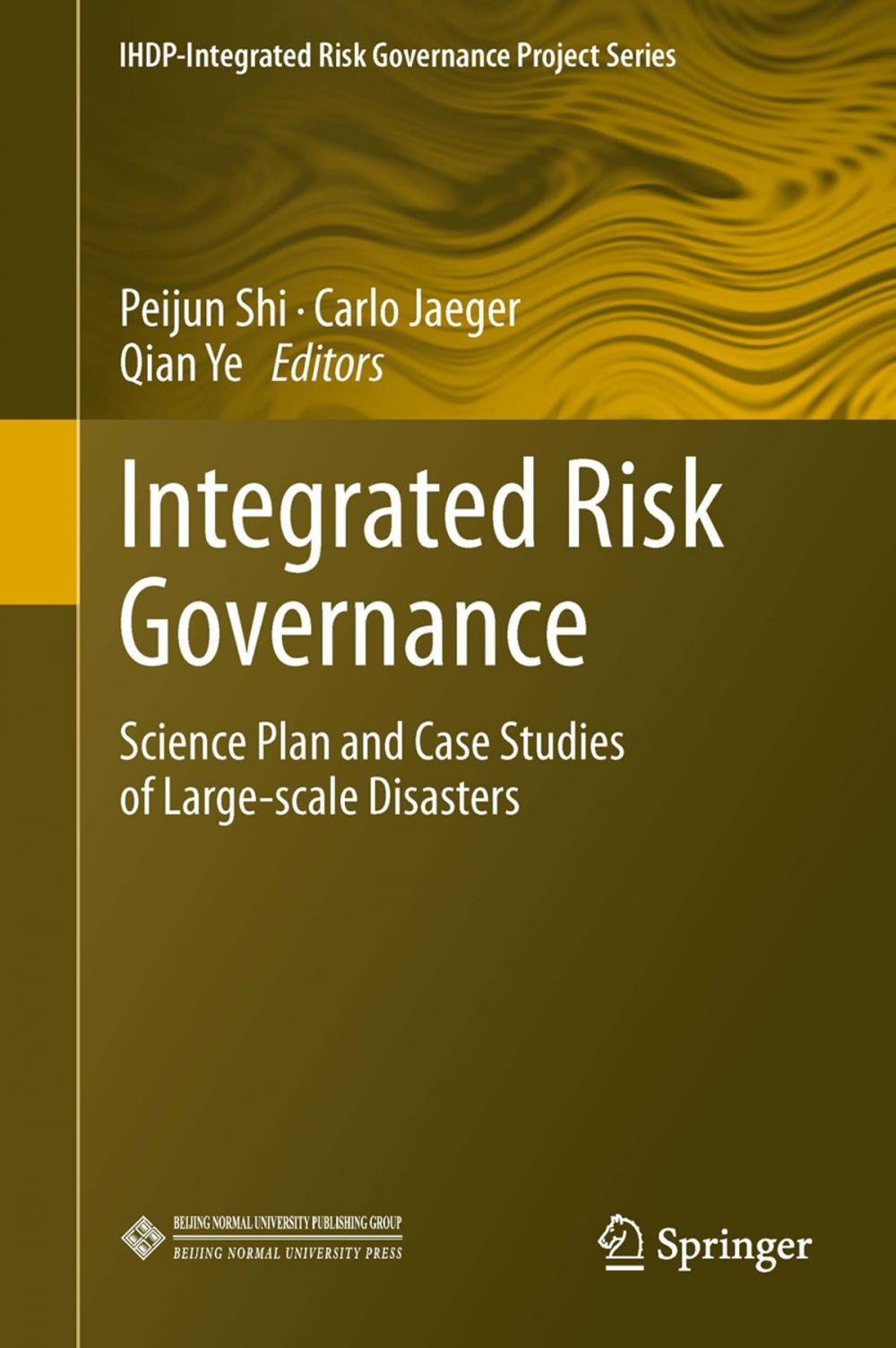 Big bigCover of Integrated Risk Governance