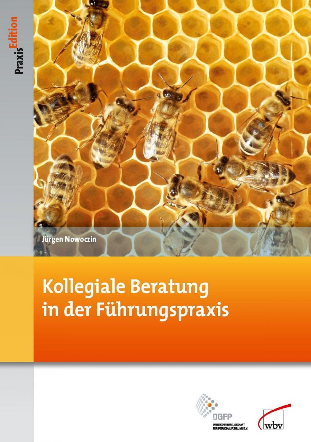 Big bigCover of Kollegiale Beratung in der Führungspraxis