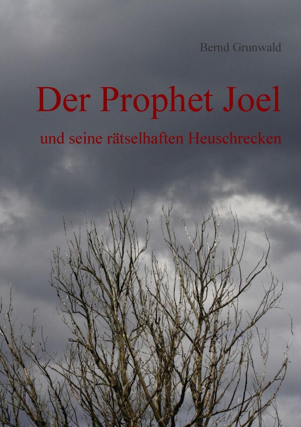 Big bigCover of Der Prophet Joel