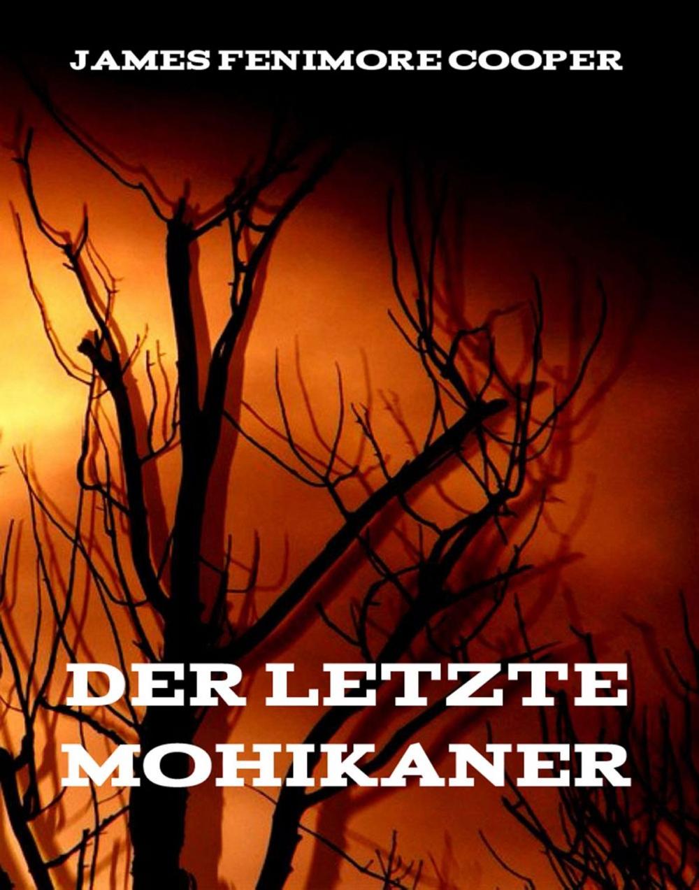 Big bigCover of Der letzte Mohikaner