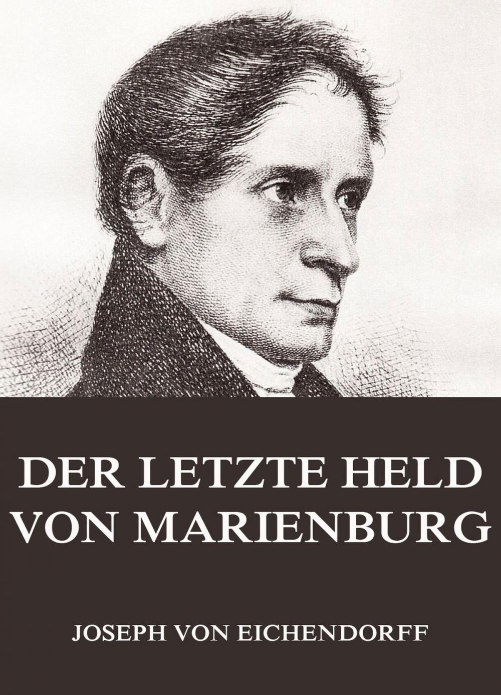 Big bigCover of Der letzte Held von Marienburg