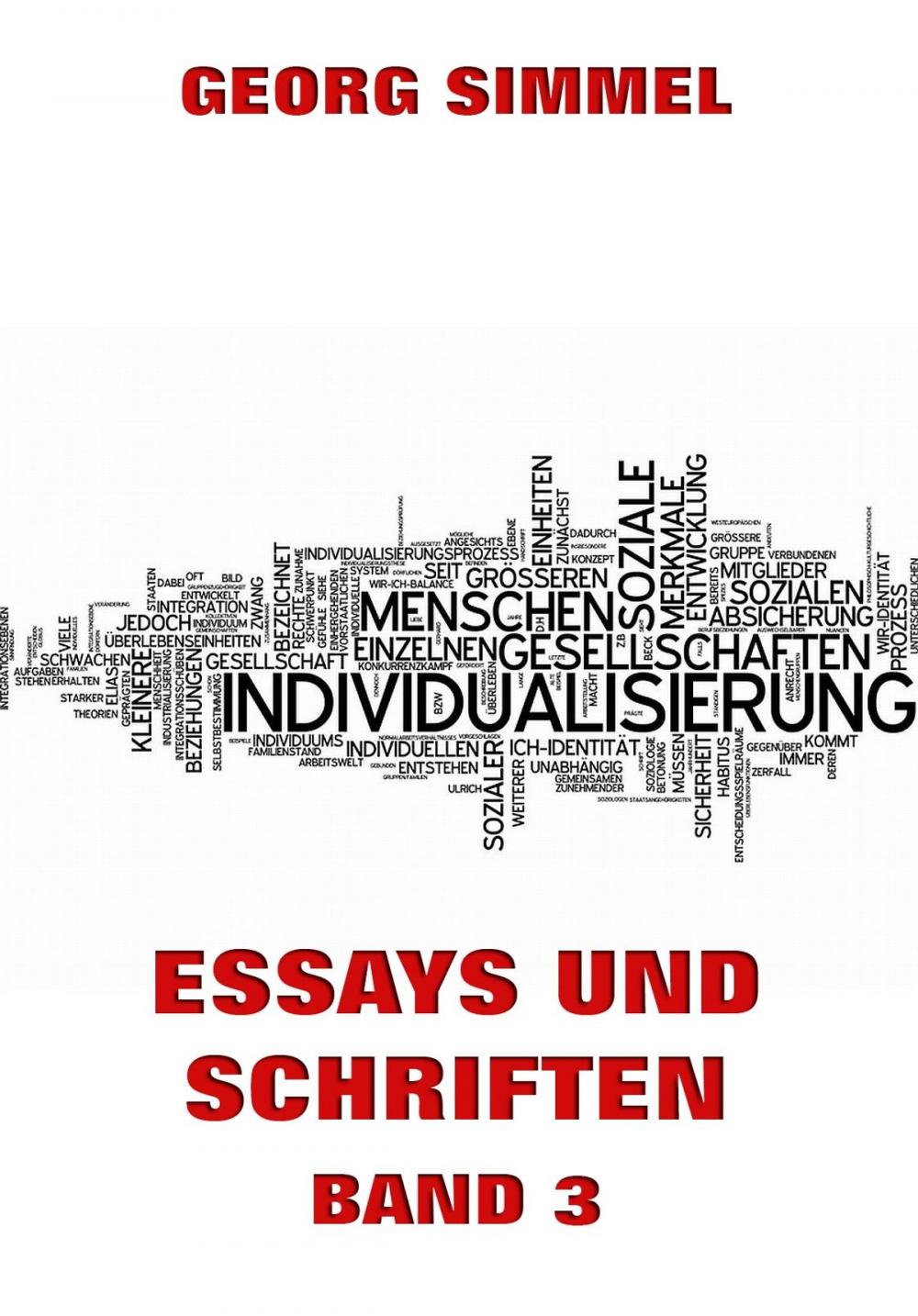 Big bigCover of Essays und Schriften, Band 3