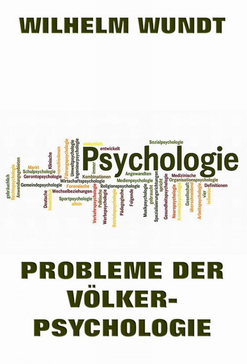 Big bigCover of Probleme der Völkerpsychologie