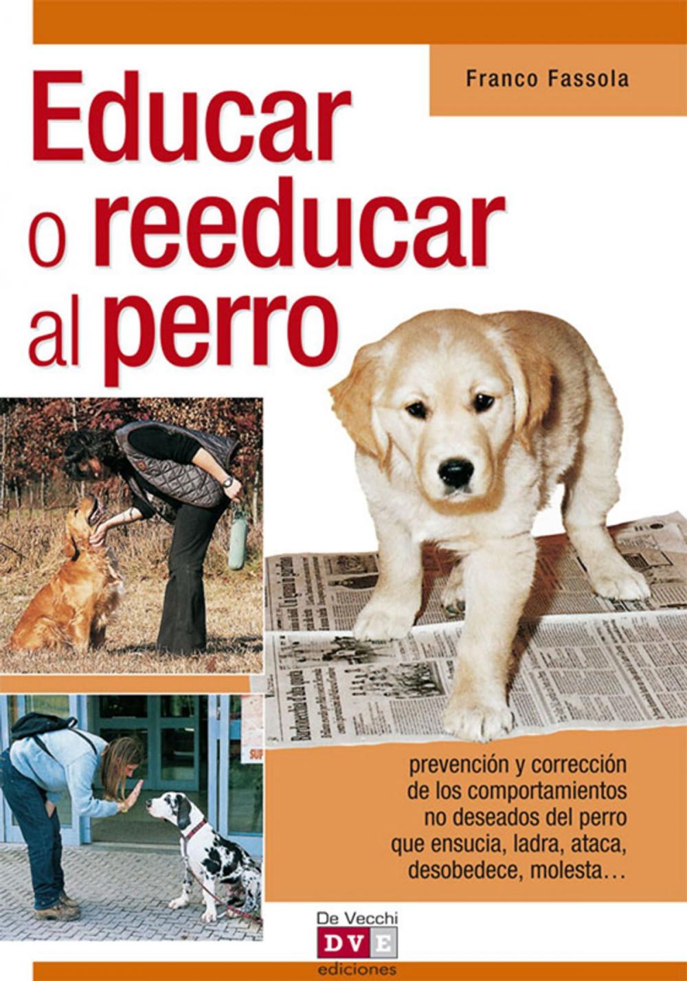 Big bigCover of Educar o reeducar al perro