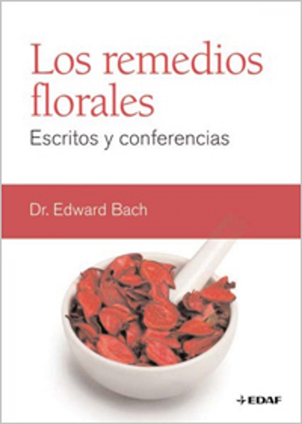 Big bigCover of REMEDIOS FLORALES, LOS