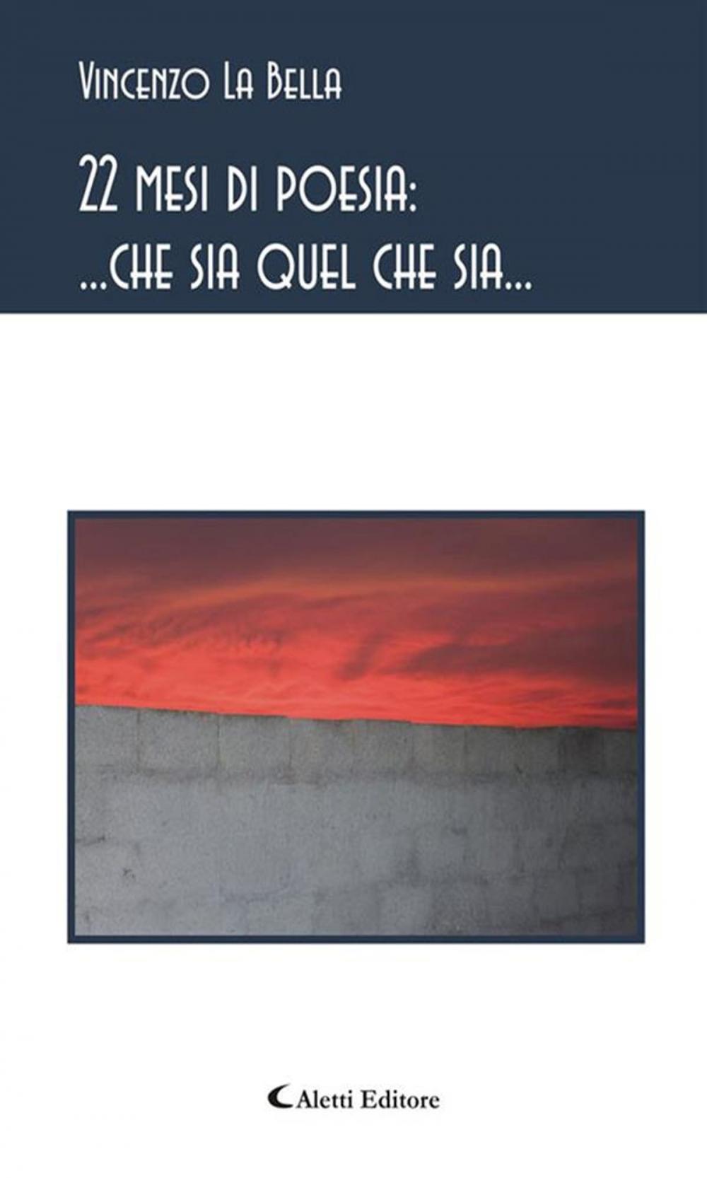 Big bigCover of 22 mesi di poesia: ... che sia quel che sia...