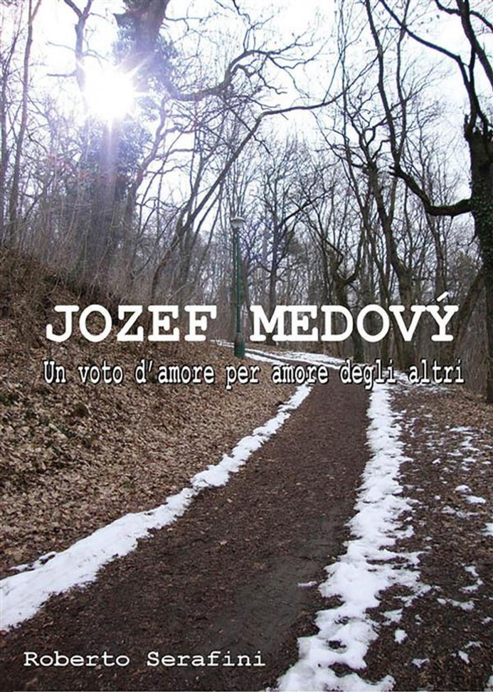 Big bigCover of Jozef Medový