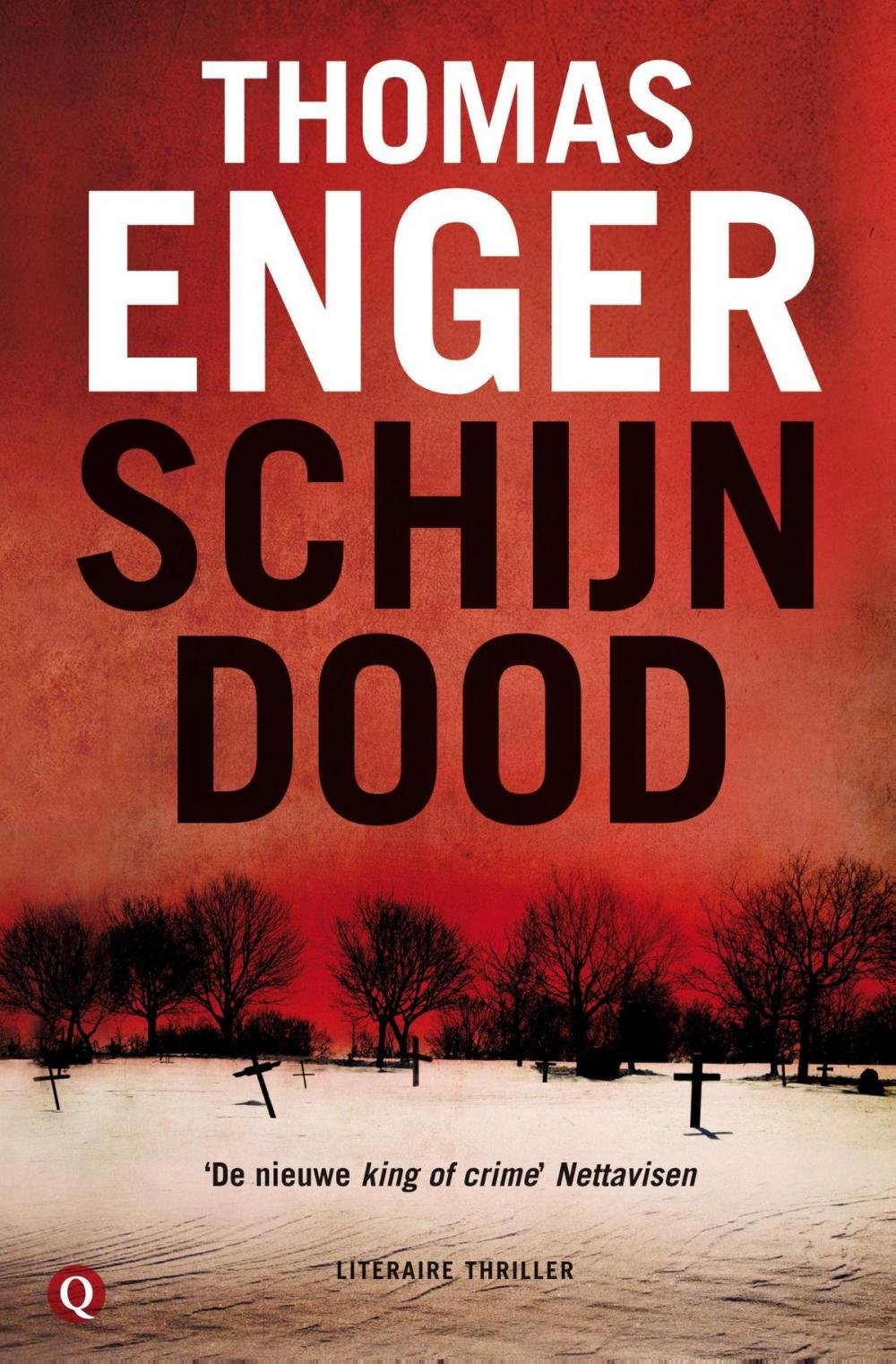 Big bigCover of Schijndood