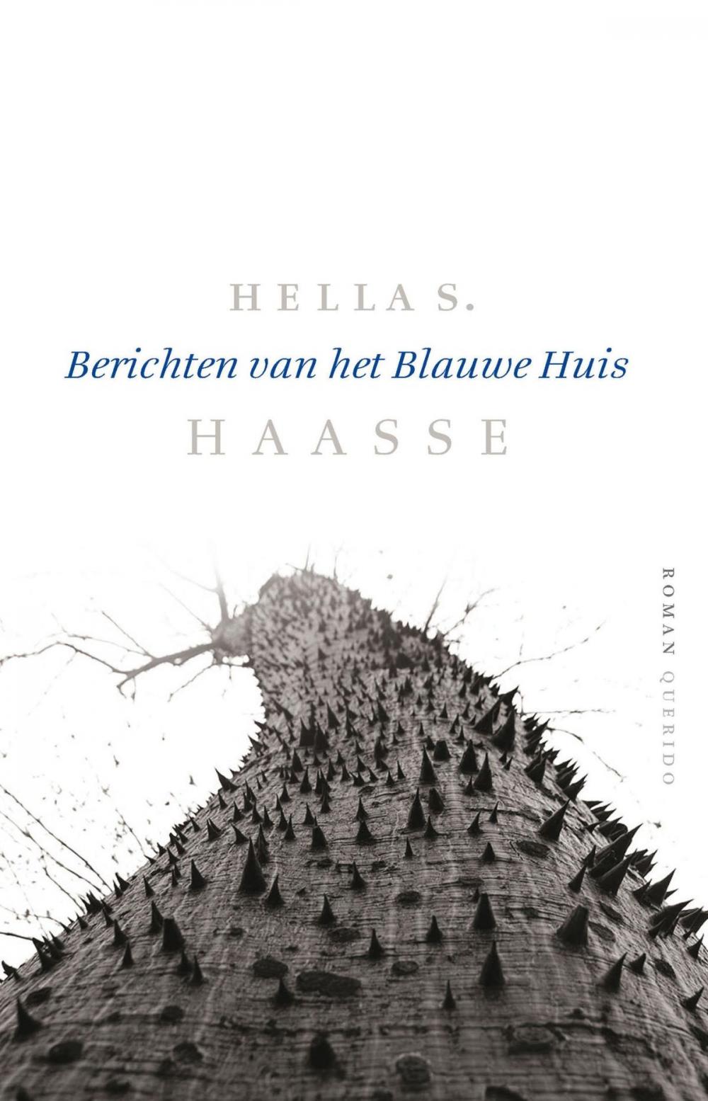 Big bigCover of Berichten van het Blauwe Huis