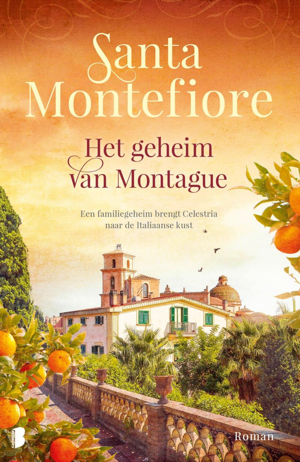 Big bigCover of Het geheim van Montague