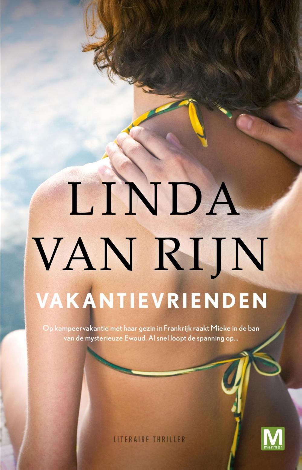 Big bigCover of Vakantievrienden