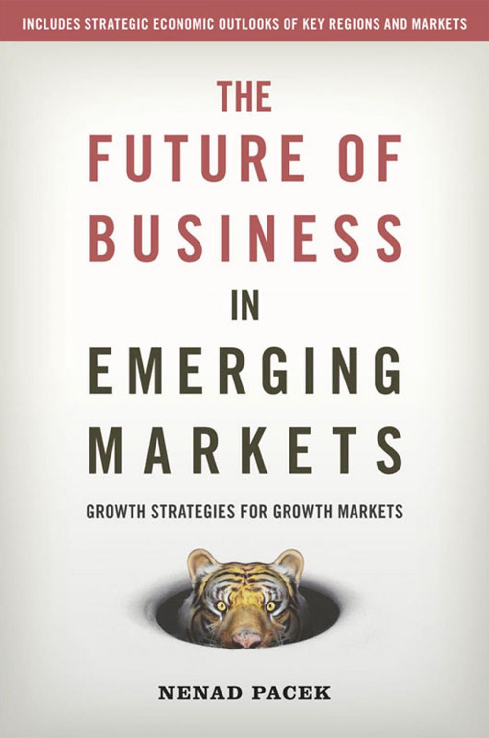 Big bigCover of The Future of Business in Emerging Markets