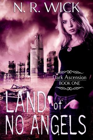 Cover of the book Land of No Angels by Aubrea Summer
