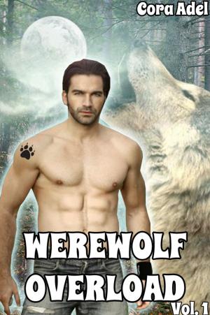 bigCover of the book Werewolf Overload - Volume 1 by 