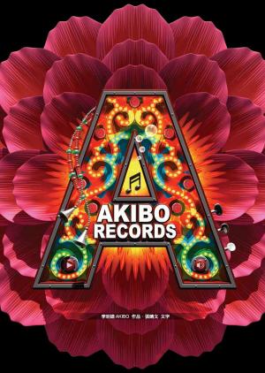 bigCover of the book AKIBO RECORDS by 