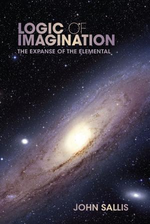 Cover of the book Logic of Imagination by Denise Von Glahn