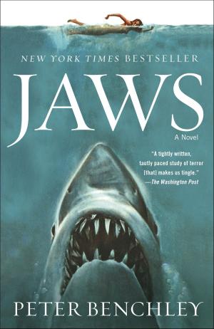 Cover of the book Jaws by Jack L. Chalker