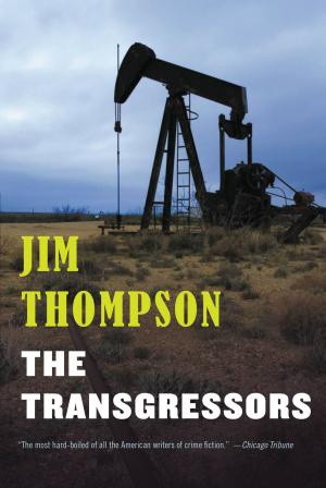 Cover of the book The Transgressors by Jon Herrera