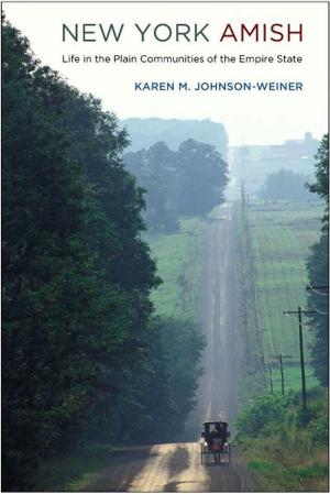 Cover of the book New York Amish by Wim Klooster