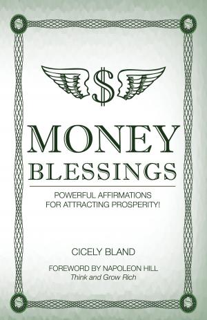 Cover of the book Money Blessings by Willem Nel