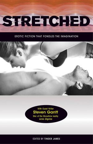 Cover of the book Stretched - Erotic Fiction that Fondles the Imagination by Chris Patrick Morgan