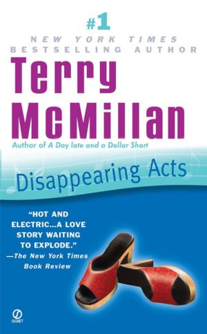 Cover of the book Disappearing Acts by Scott McConnell