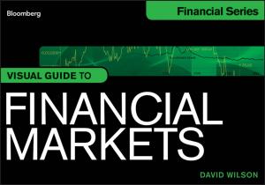 bigCover of the book Visual Guide to Financial Markets by 