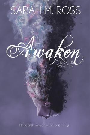bigCover of the book Awaken by 