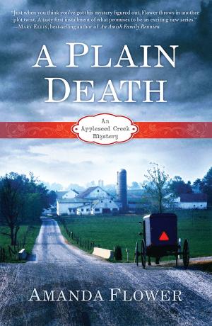 Cover of the book A Plain Death by Patti Webb, Sarah Maddox