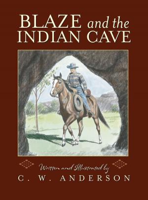 Cover of the book Blaze and the Indian Cave by Emma Sector